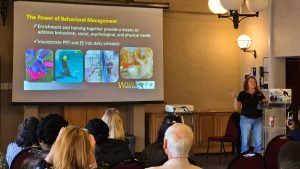 WWUS Margaret Whittaker presenting "The Power of Behavioural Management" at Joburg Zoo workshop.