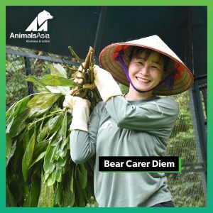 Animals Asia Happy Diem