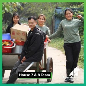 Animals Asia House 7 and 8 Team