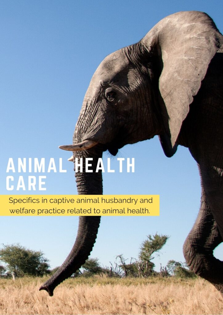 Animal Health Care | Wild Welfare US