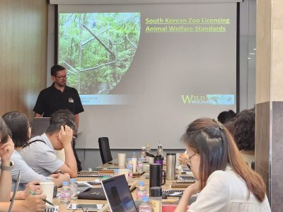 Simon Marsh, Director at Wild Welfare leading presentation in South Korea