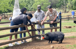Attendees learn how to target train with help from the zoos pigs.