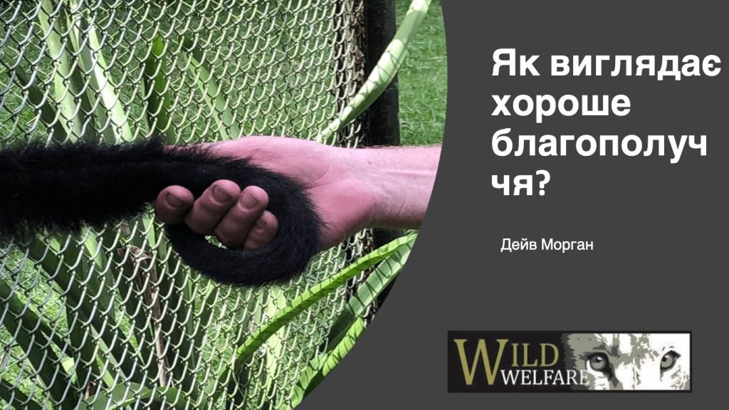 Opening slide of presentation