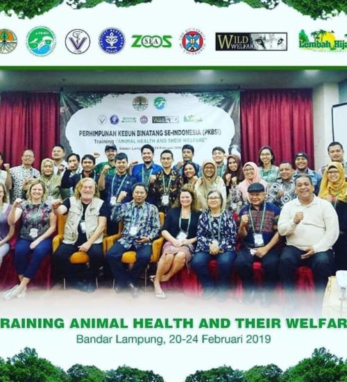 Group of 30 zoo vets pose for a photo after animal welfare training session