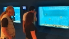 Brazil Audit at Aquarium
