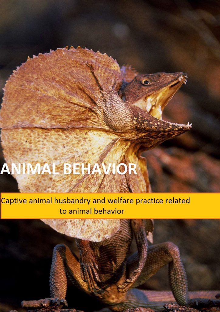 Animal Behavior | Wild Welfare US