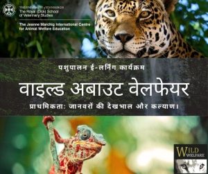 वाइल्ड अबाउट वेलफेयर